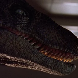 Velociraptor Jurassic Park