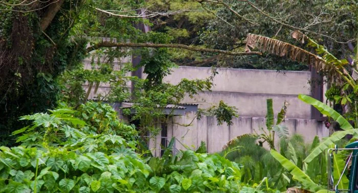 1511544_729071587137355_2916343331419308880_o More Pics of Concrete Building at Jurassic World Set