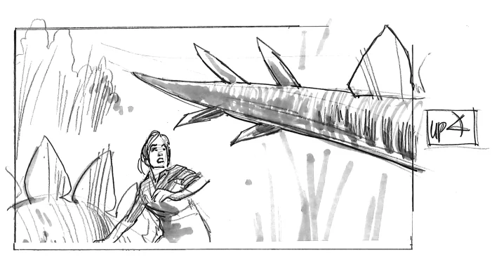 Stego Attack