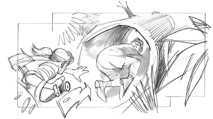 Stego Attack