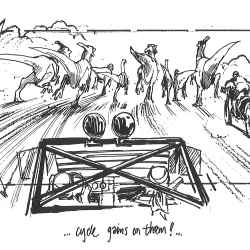 The Round Up