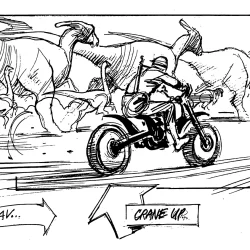 The Round Up