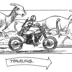 The Round Up