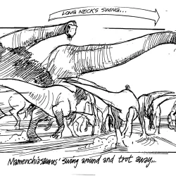 The Round Up