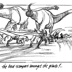 The Round Up