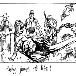 The Round Up