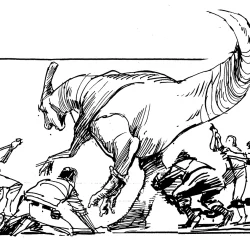 The Round Up