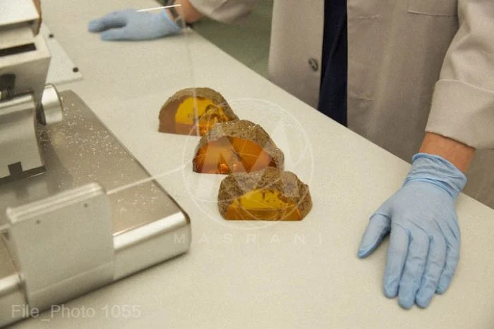 Jurassic World Jurassic World Viral Site Launched - Masrani Global