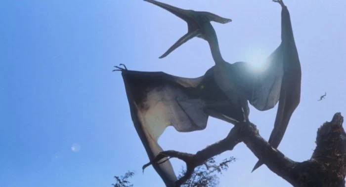pteranodon01 Pteranodon