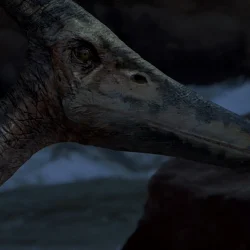 pteranodon03 Pteranodon