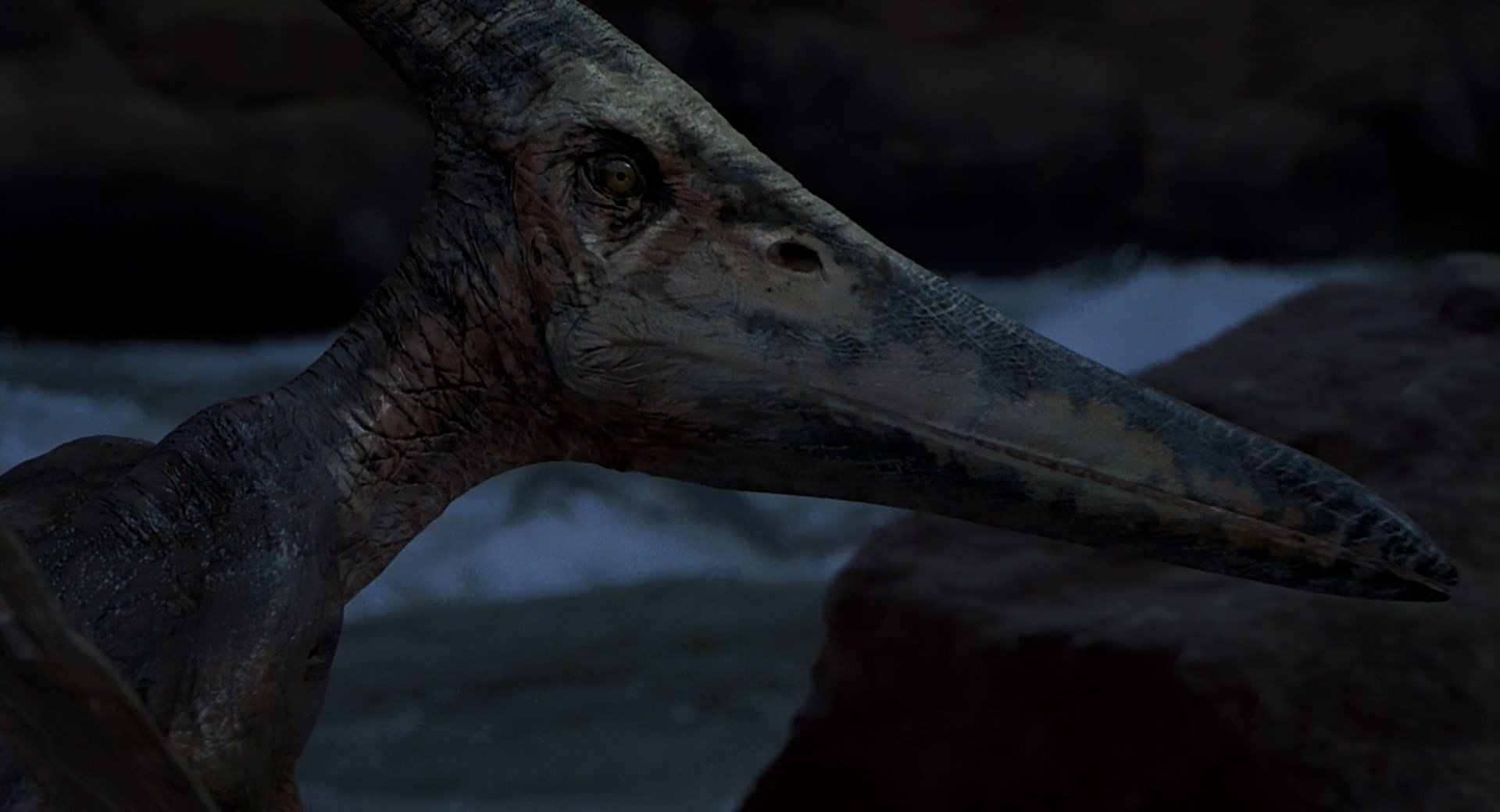 Image result for jurassic park 3 pteranodon