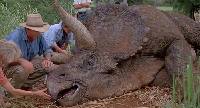 triceratops01 Triceratops