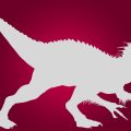 New Information about Indominus Rex