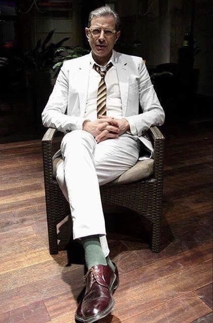 Jeff Goldblum as Dr. Ian Malcolm