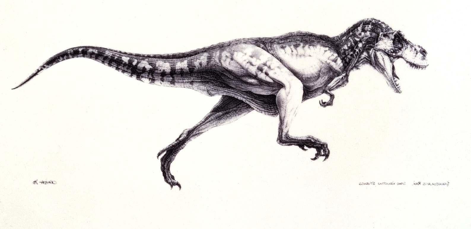 jurassic park dinosaur concept art