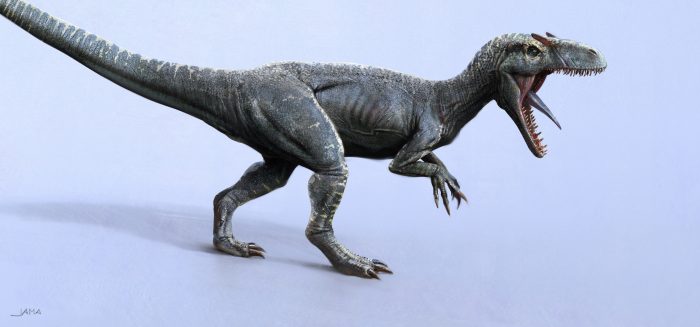 Allosaurus (Jama Jurabaev)