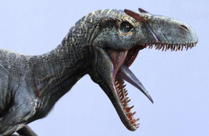 Allosaurus (Jama Jurabaev)