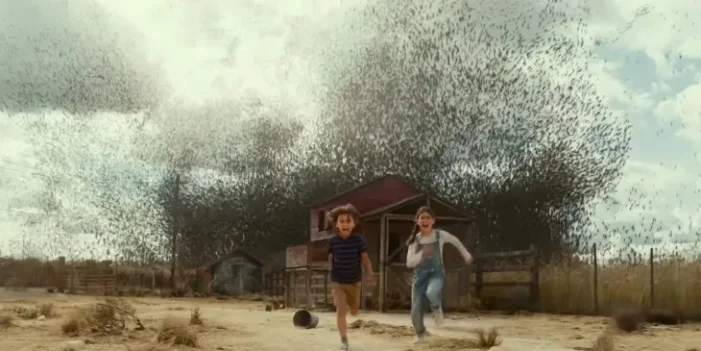 Locusts